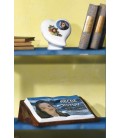 Libro a terreno con leggio cm.39x26 h.14