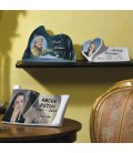 Placca Prof.T. montagna 22x35x14 cm