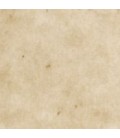 Placca 11x15 rettangolare inclinata